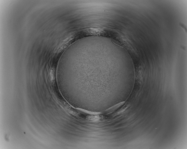 X0000102820131200808251120