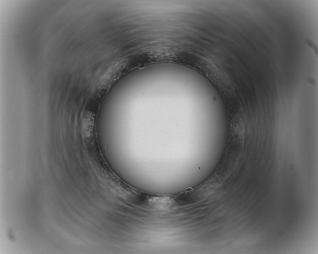X0000102820133200808251119