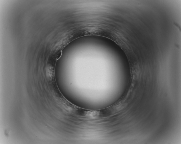 X0000102820135200808251119