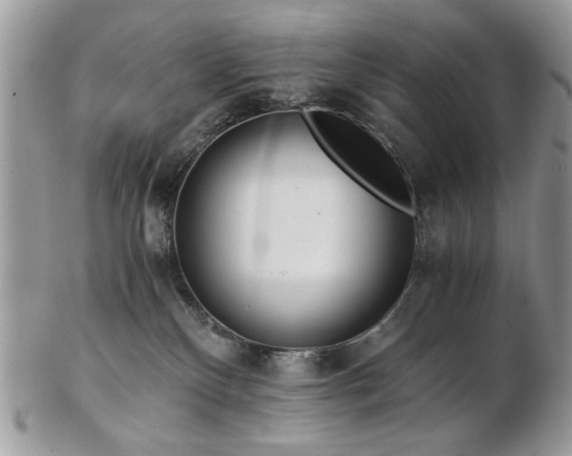 X0000102820136200808251119