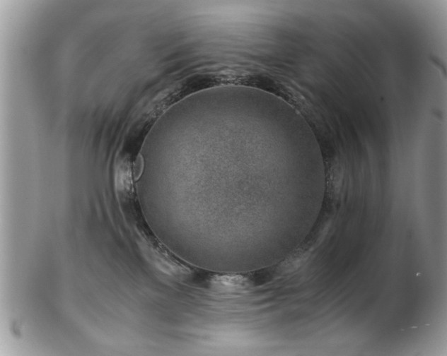 X0000102820137200808251119