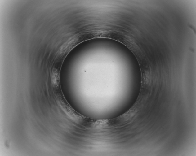 X0000102820138200808251119