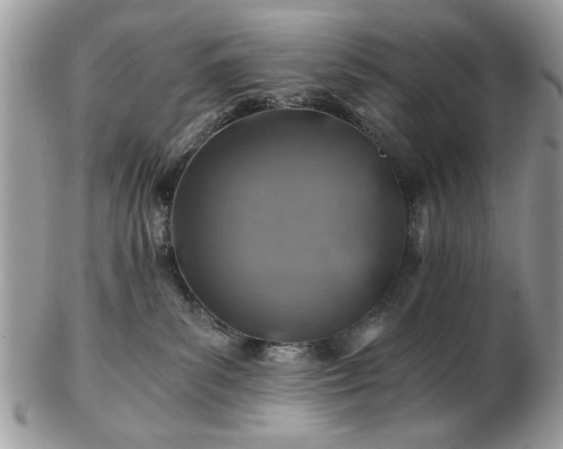 X0000102820139200808251119