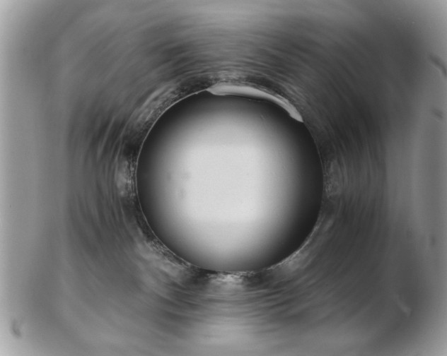 X0000102820140200808251119