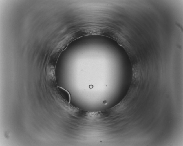 X0000102820141200808251119