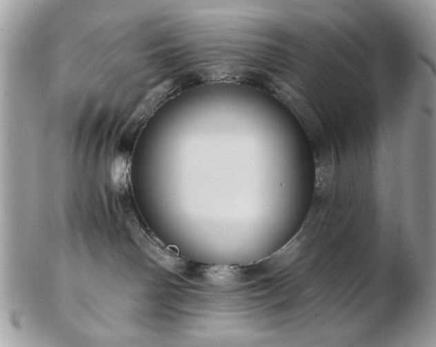 X0000102820142200808251119