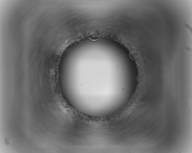 X0000102820144200808251119