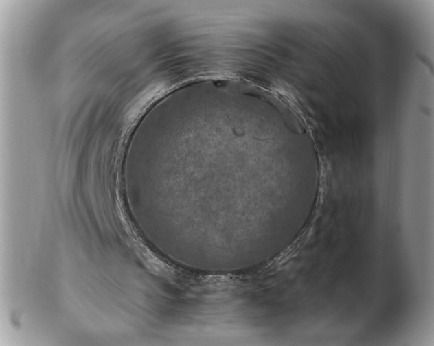 X0000102820145200808251118