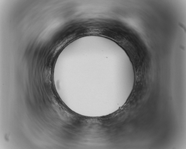 X0000102820146200808251119