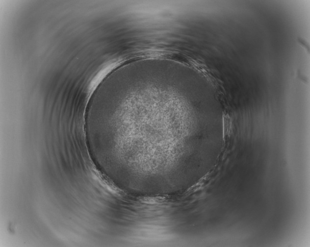 X0000102820147200808251119