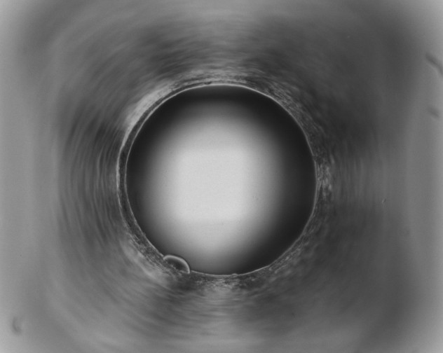X0000102820148200808251119