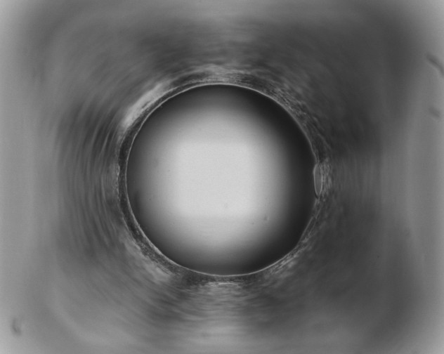 X0000102820150200808251119