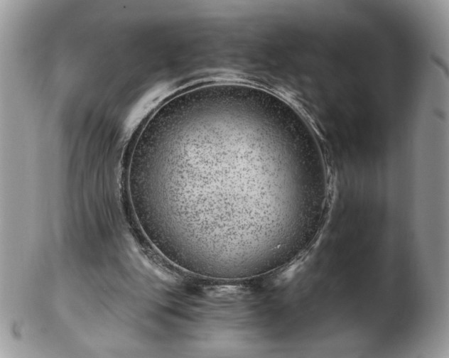 X0000102820151200808251119
