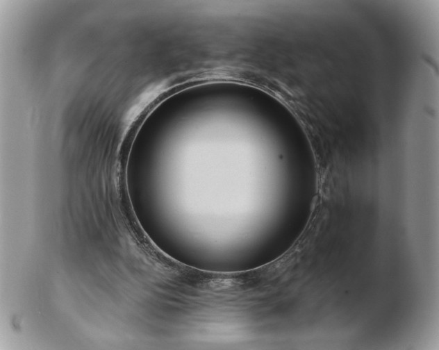 X0000102820152200808251119