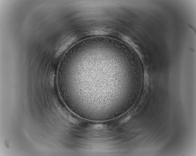 X0000102820153200808251119