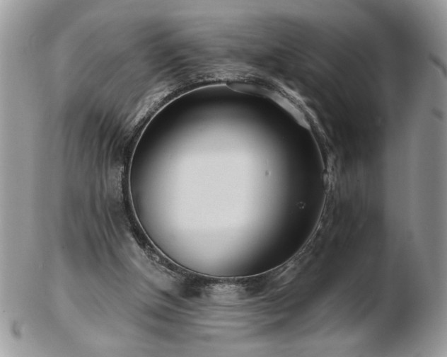X0000102820154200808251119