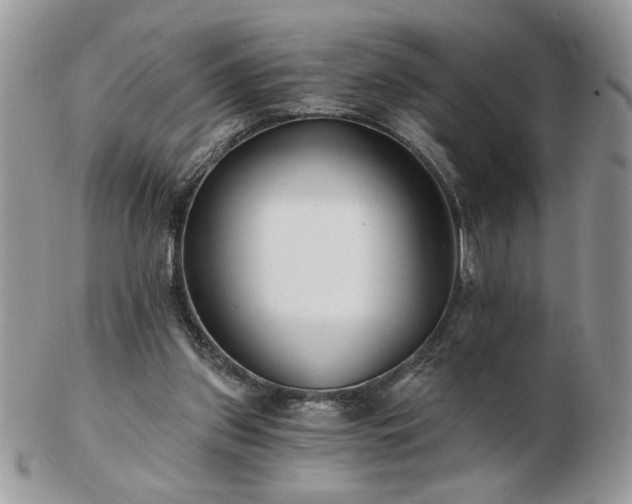 X0000102820157200808251119