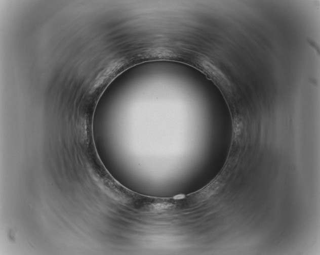 X0000102820158200808251119