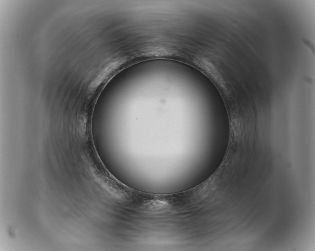 X0000102820159200808251119