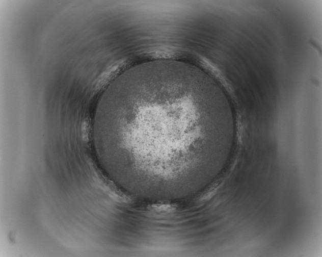 X0000102820161200808251119