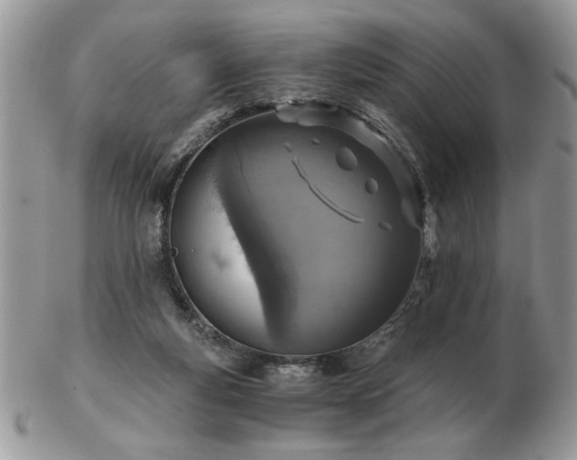 X0000102820163200808251119