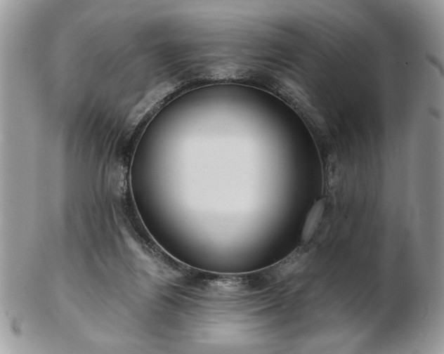 X0000102820164200808251119