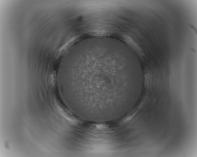 X0000102820165200808251119