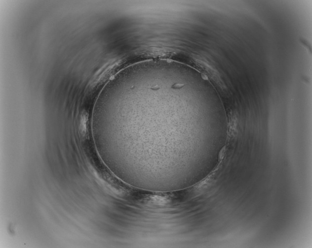 X0000102820166200808251119