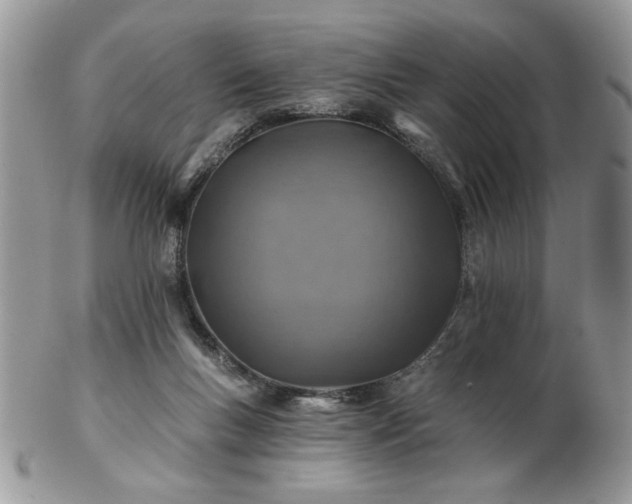 X0000102820167200808251119