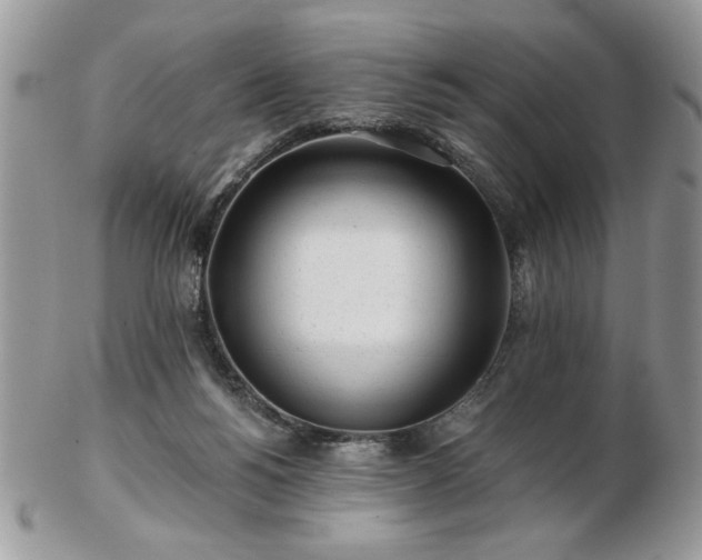 X0000102820168200808251119