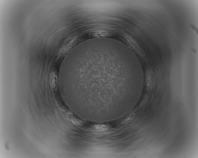 X0000102820169200808251119