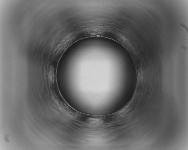 X0000102820170200808251119