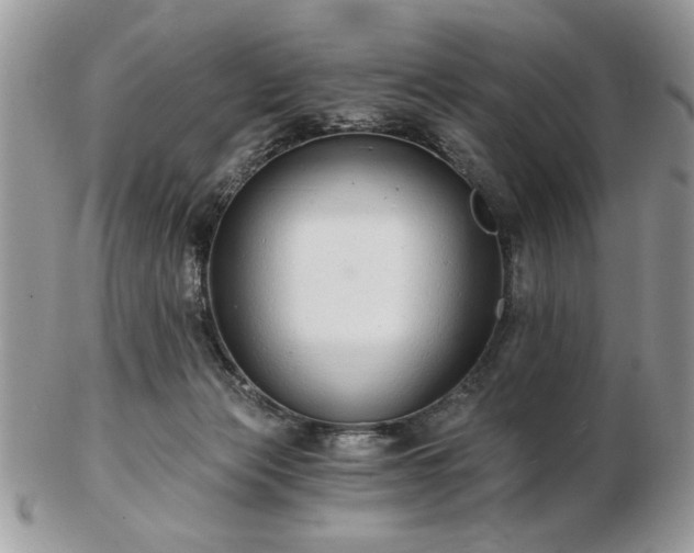 X0000102820173200808251119