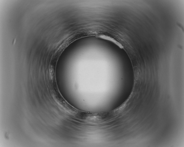 X0000102820174200808251119