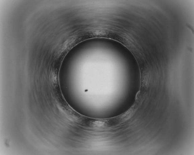 X0000102820176200808251119