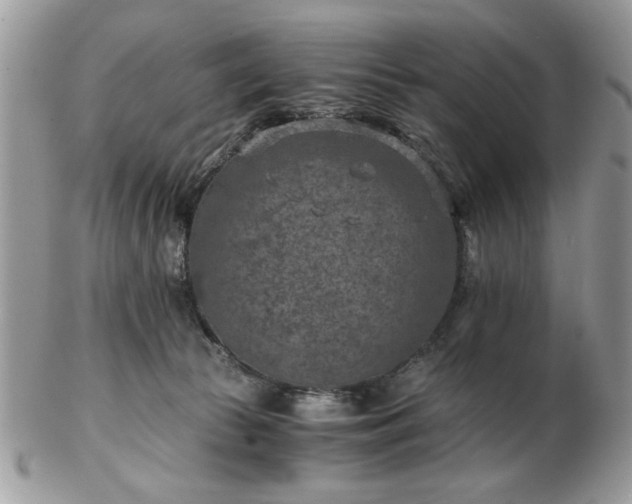 X0000102820177200808251119