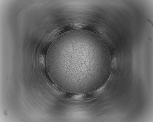 X0000102820178200808251119