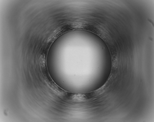 X0000102820179200808251119