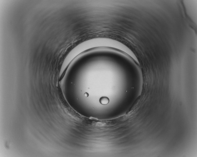 X0000102820180200808251119