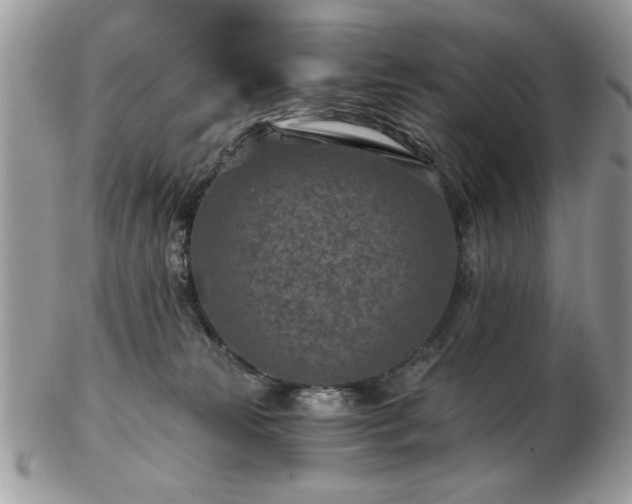 X0000102820181200808251119