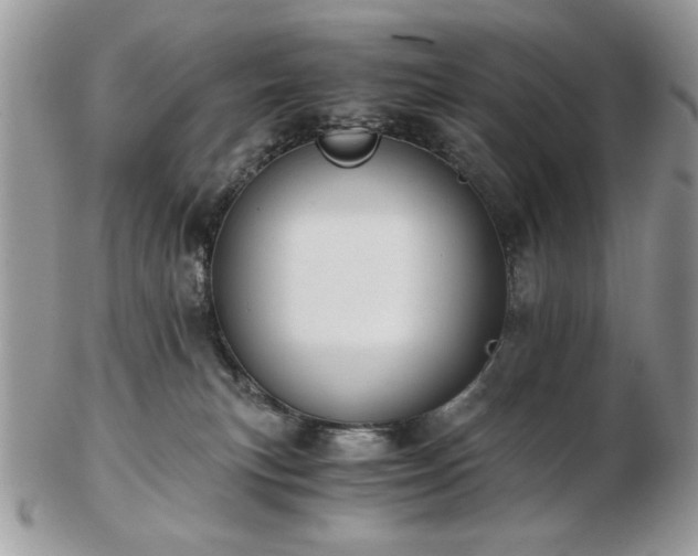 X0000102820183200808251119