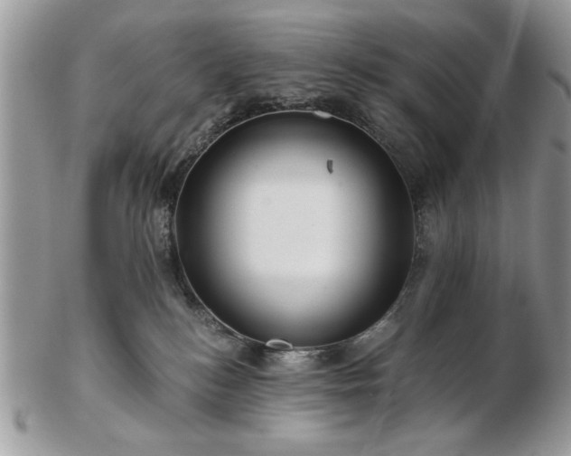 X0000102820184200808251119