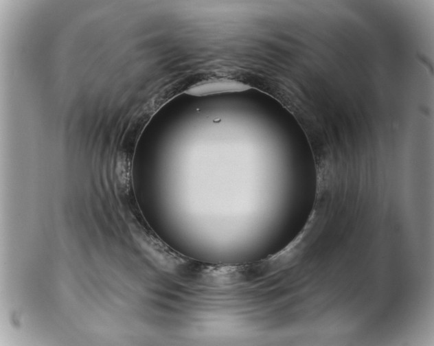 X0000102820186200808251119