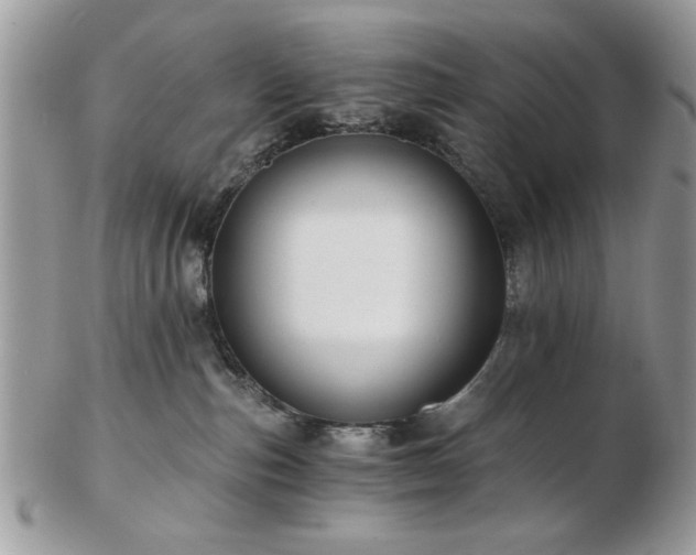 X0000102820187200808251119