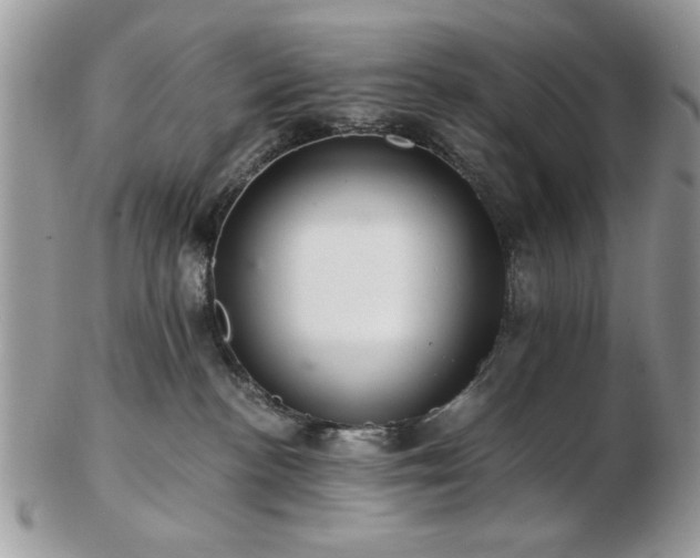 X0000102820188200808251119