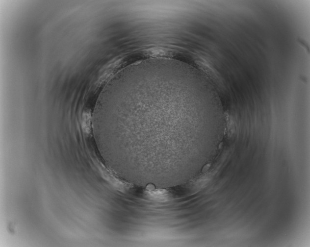 X0000102820189200808251119