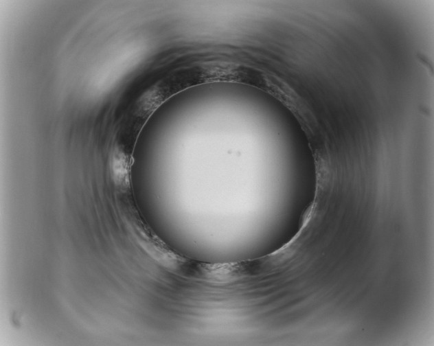 X0000102820191200808251119