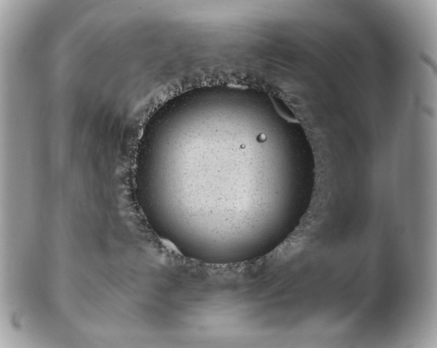 X0000102820192200808251119