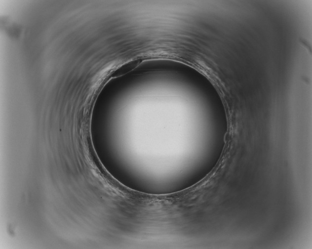 X0000102820193200808251118