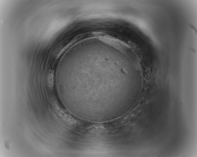 X0000102820194200808251118